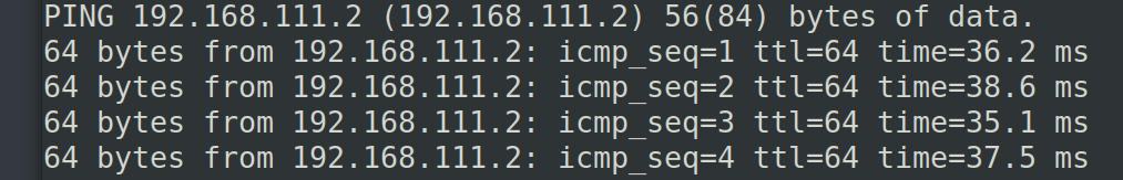 这里有一个图片