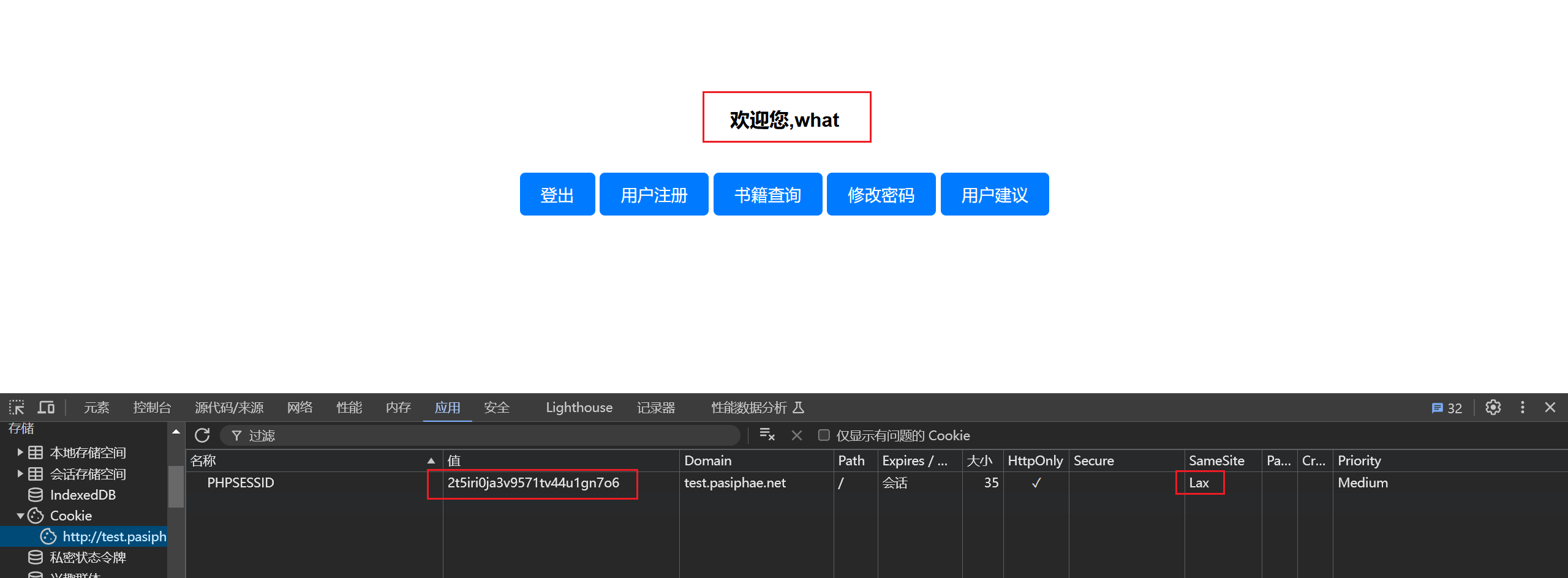 这里有一个图片