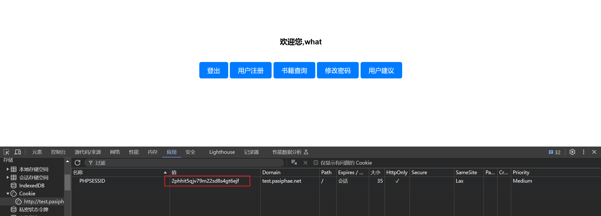 这里有一个图片