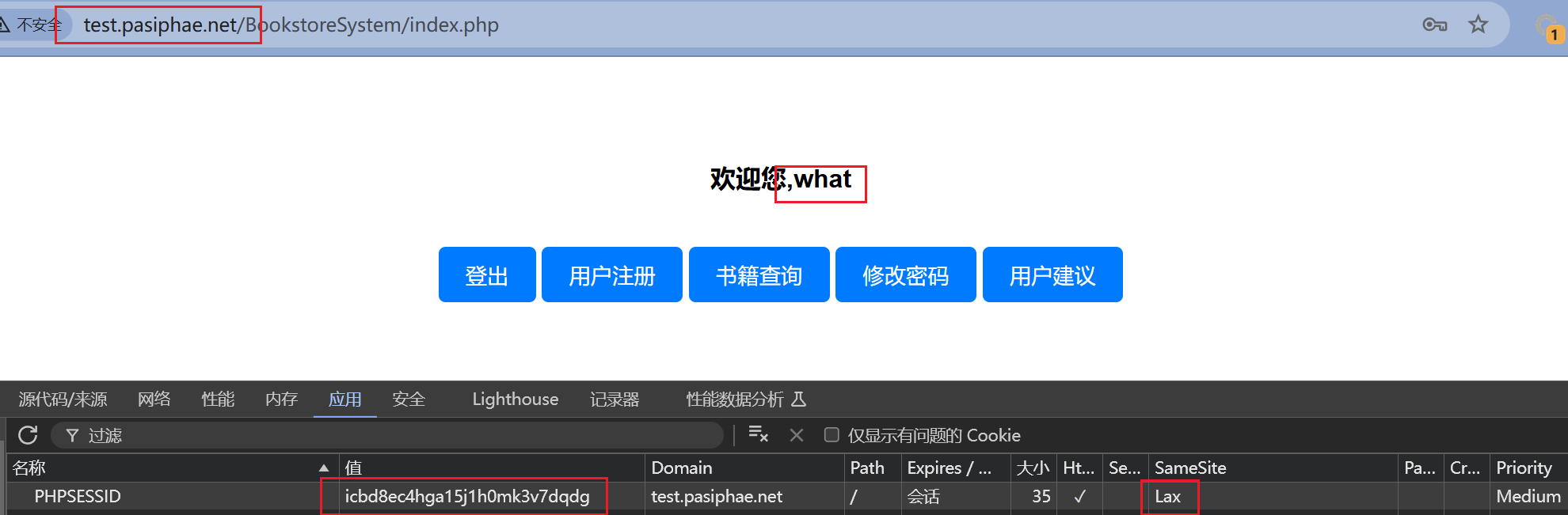 这里有一个图片